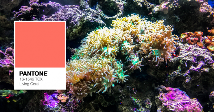 Az év színe: korall - Hogyan használd a lakberendezésben?