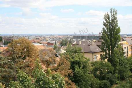 Nyúl utca Nyúl utca