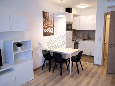 Gidófalvy Lajos utca Gidófalvy Lajos utca