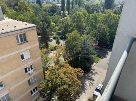 Tomori köz