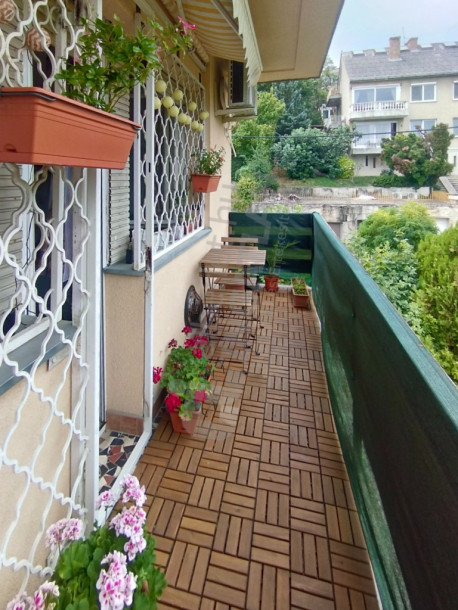 Hegyalja út Hegyalja út