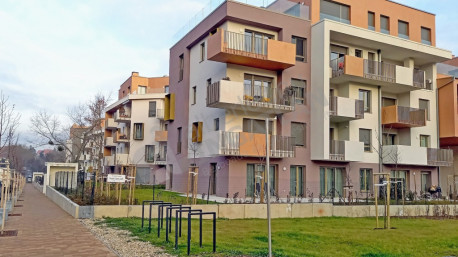 Pálinkás Antal utca