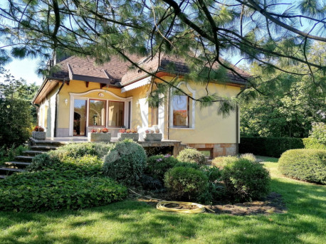 Vadruca utca