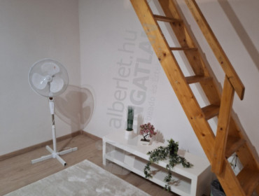Teréz körút-budapest-vi-kerulet-terez-korut_5.jpg