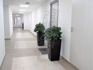 Kőris utca-biatorbagy-koris-utca_13.jpg