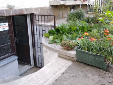 Bácskai utca-budapest-xiv-kerulet-bacskai-utca_1.jpg