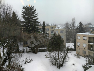 Szamóca utca-budapest-xii-kerulet-szamoca-utca_18.jpg