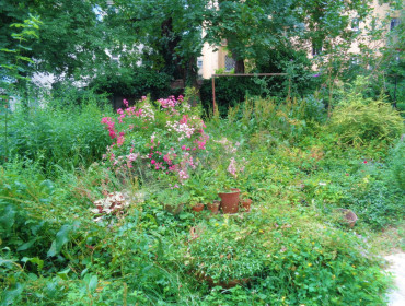 Dávid Ferenc utca-budapest-xi-kerulet-david-ferenc-utca_16.jpg