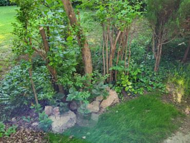 Orbánhegyi út-budapest-xii-kerulet-orbanhegyi-ut_19.jpg