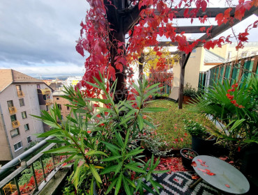 Balázs Béla utca-budapest-ix-kerulet-balazs-bela-utca_24.jpg