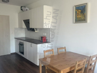 Pacsirtamező utca-budapest-iii-kerulet-pacsirtamezo-utca_21.jpg