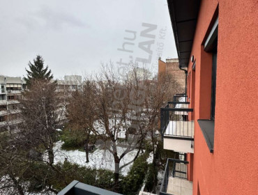 Pacsirtamező utca-budapest-iii-kerulet-pacsirtamezo-utca_23.jpg