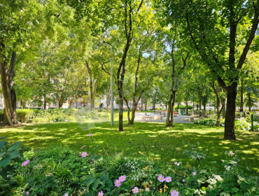 Szent István park-budapest-xiii-kerulet-szent-istvan-park_31.jpg