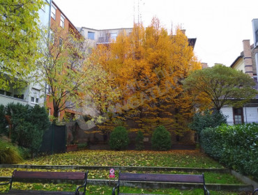 Kálvária utca-budapest-viii-kerulet-kalvaria-utca_17.jpg