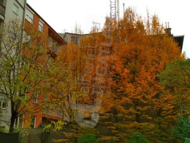 Kálvária utca-budapest-viii-kerulet-kalvaria-utca_18.jpg