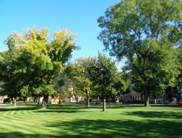 Kálvária utca-budapest-viii-kerulet-kalvaria-utca_28.jpg