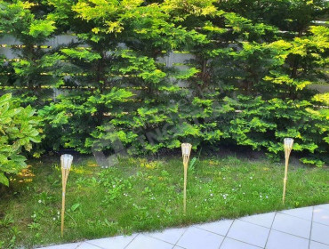 Marina sétány-budapest-xiii-kerulet-marina-setany_3.jpg