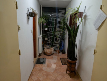 Bíró Mihály utca-budapest-xx-kerulet-biro-mihaly-utca_20.jpg