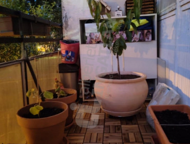 Bíró Mihály utca-budapest-xx-kerulet-biro-mihaly-utca_22.jpg