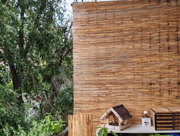 Bíró Mihály utca-budapest-xx-kerulet-biro-mihaly-utca_23.jpg