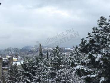 Pajzs utca-budapest-ii-kerulet-pajzs-utca_19.jpg