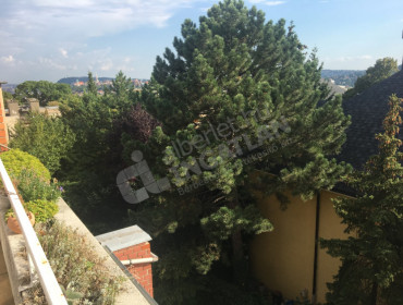 Pajzs utca-budapest-ii-kerulet-pajzs-utca_20.jpg