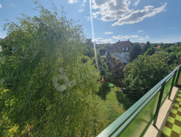 Beregszász út