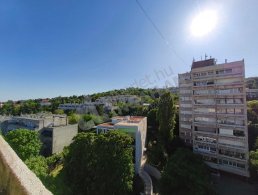 Tamási Áron utca-budapest-xii-kerulet-tamasi-aron-utca_23.jpg