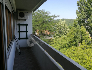 Zöldlomb utca-budapest-ii-kerulet-zoldlomb-utca_2.jpg