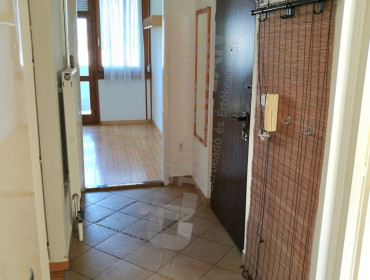 Zöldlomb utca-budapest-ii-kerulet-zoldlomb-utca_4.jpg