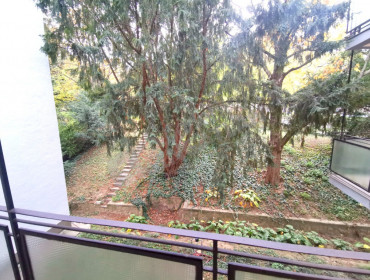 Ráth György utca-budapest-xii-kerulet-rath-gyorgy-utca_24.jpg