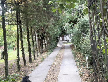 Kolozsvári utca-budapest-xxii-kerulet-kolozsvari-utca_19.jpg