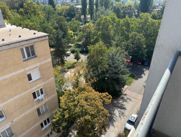 Tomori köz