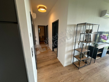 Bíró László József körút-budapest-xi-kerulet-biro-laszlo-jozsef-korut_24.jpg