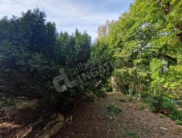 Herman Ottó út-budapest-ii-kerulet-herman-otto-ut_14.jpg