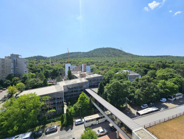 Hárshegyi út