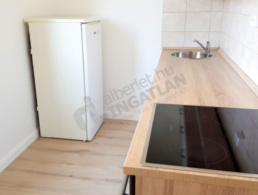 Regős utca-budapest-xi-kerulet-regos-utca_17.jpg