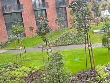 Vágóhíd utca-budapest-ix-kerulet-vagohid-utca_15.jpg