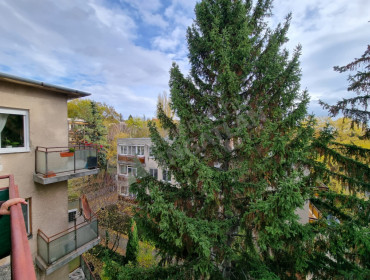 Guyon Richárd utca-budapest-ii-kerulet-guyon-richard-utca_21.jpg