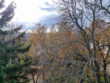 Guyon Richárd utca-budapest-ii-kerulet-guyon-richard-utca_4.jpg