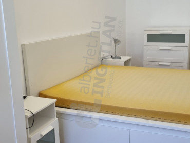 Wesselényi utca-budapest-vii-kerulet-wesselenyi-utca_22.jpg