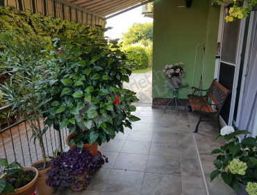 Tompa Mihály  utca-maglod-tompa-mihaly-utca_15.jpg