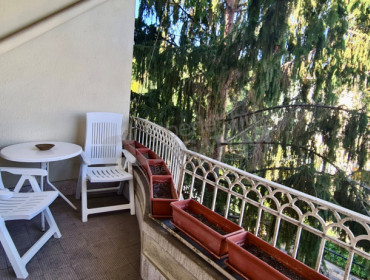 Szilágyi Erzsébet fasor-budapest-ii-kerulet-szilagyi-erzsebet-fasor_14.jpg