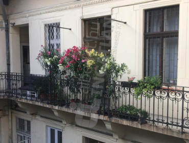 Kertész utca-budapest-vii-kerulet-kertesz-utca_43.jpg