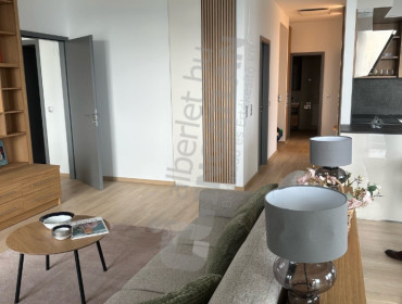 Bíró László József körút-budapest-xi-kerulet-biro-laszlo-jozsef-korut_10.jpg