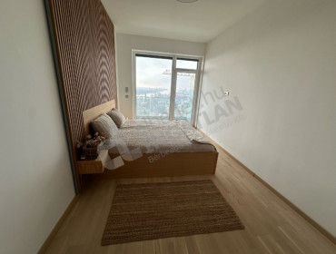 Bíró László József körút-budapest-xi-kerulet-biro-laszlo-jozsef-korut_12.jpg