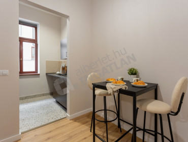 Holló utca-budapest-vii-kerulet-hollo-utca_11.jpg