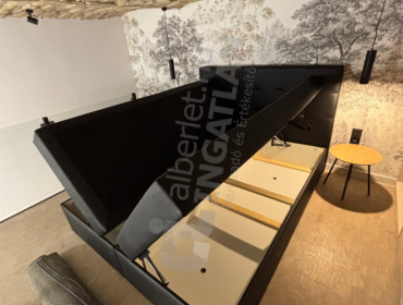 Puskin utca-budapest-viii-kerulet-puskin-utca_8.jpg