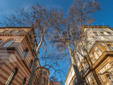 Puskin utca-budapest-viii-kerulet-puskin-utca_9.jpg