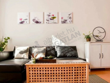 Ráday utca-budapest-ix-kerulet-raday-utca_2.jpg